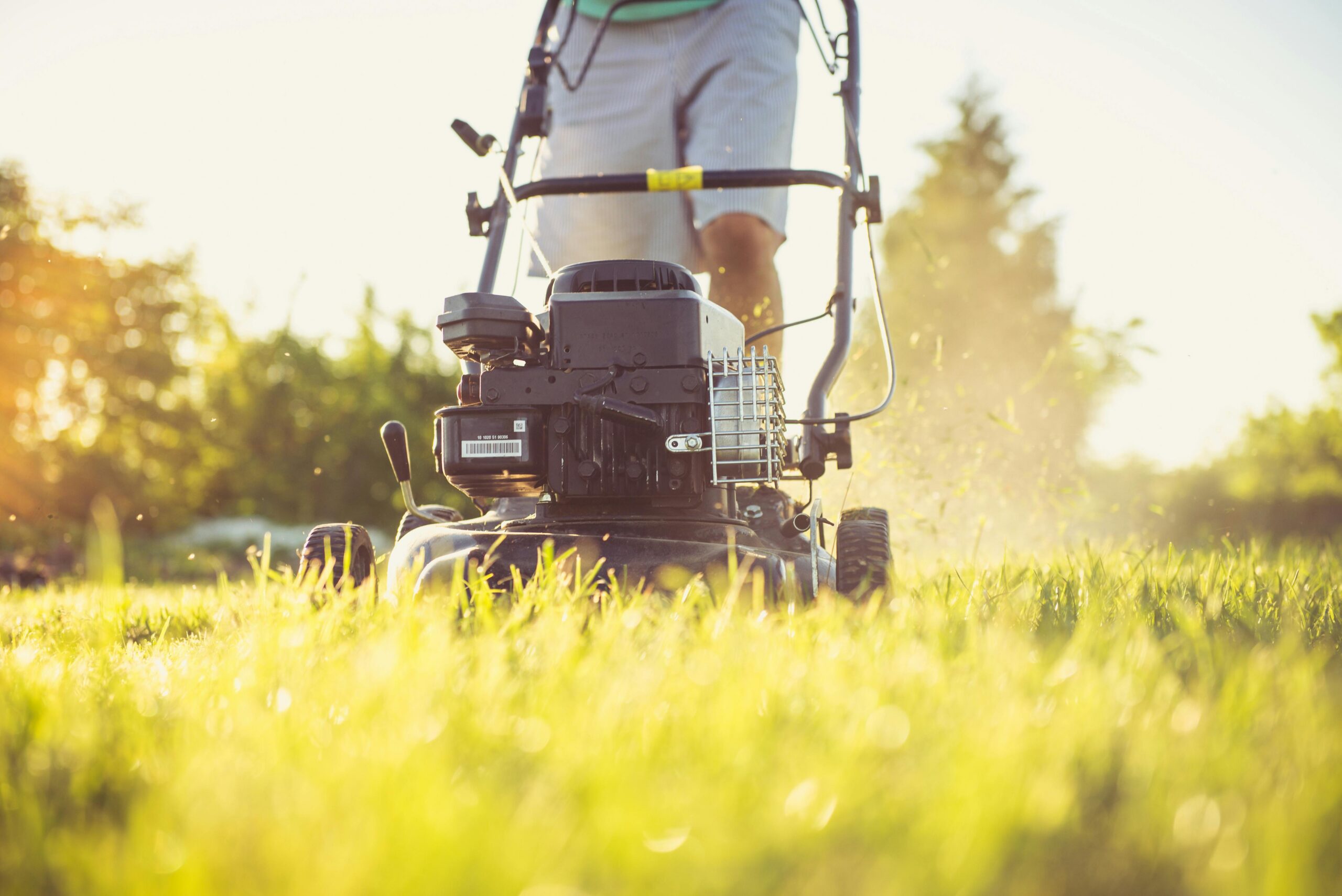 An image of a person mowing a lawn with a powered lawn mower.