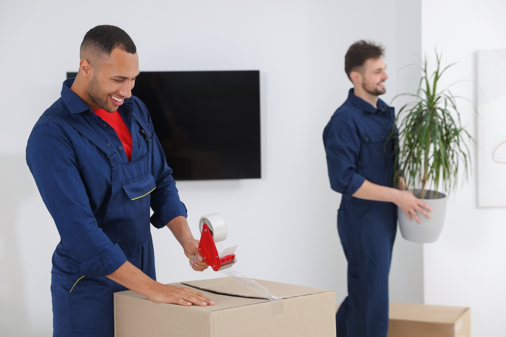 An image of a professional mover taping up a box, and another professional mover carrying a plant.