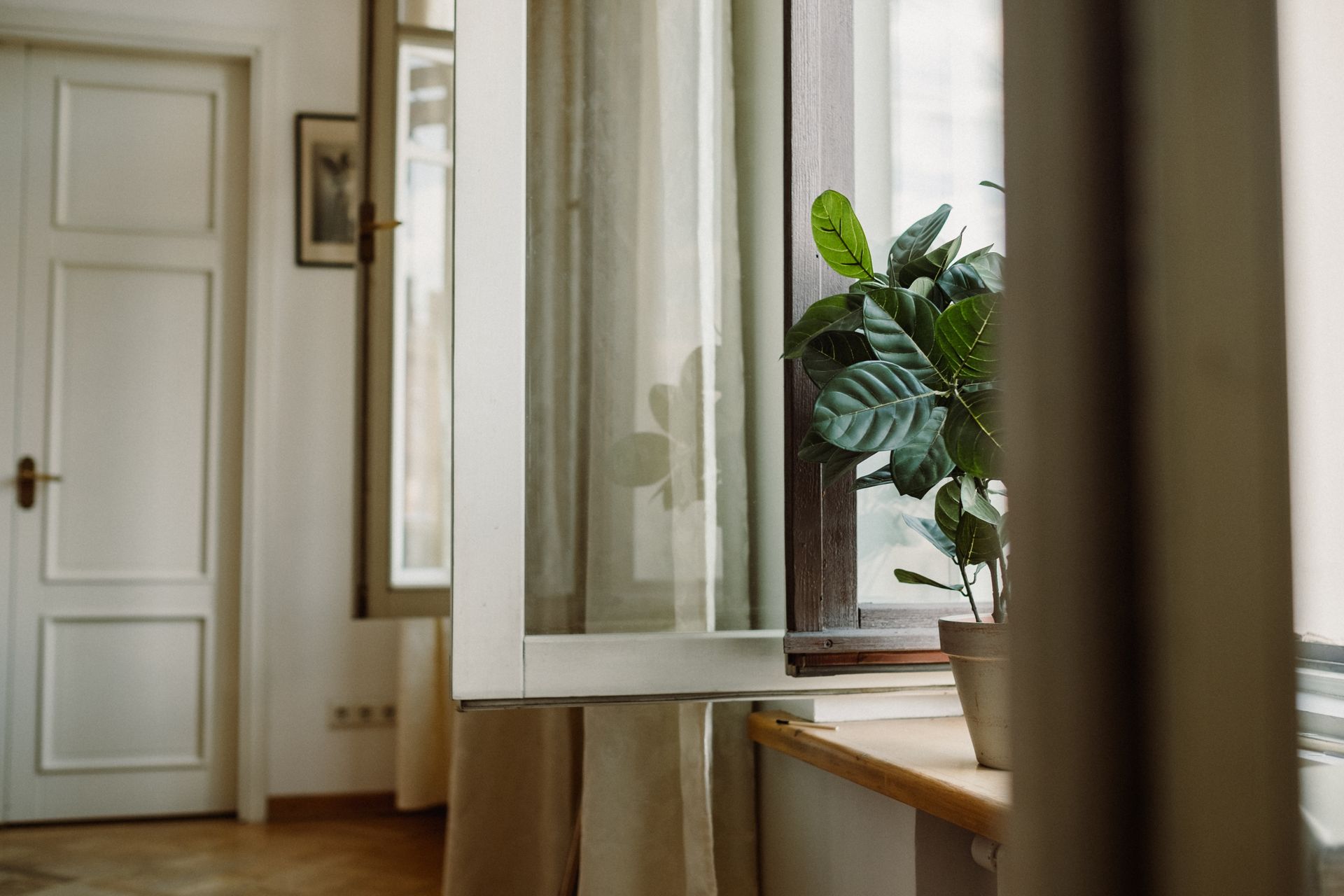 An image of open windows in the hallway of a house.