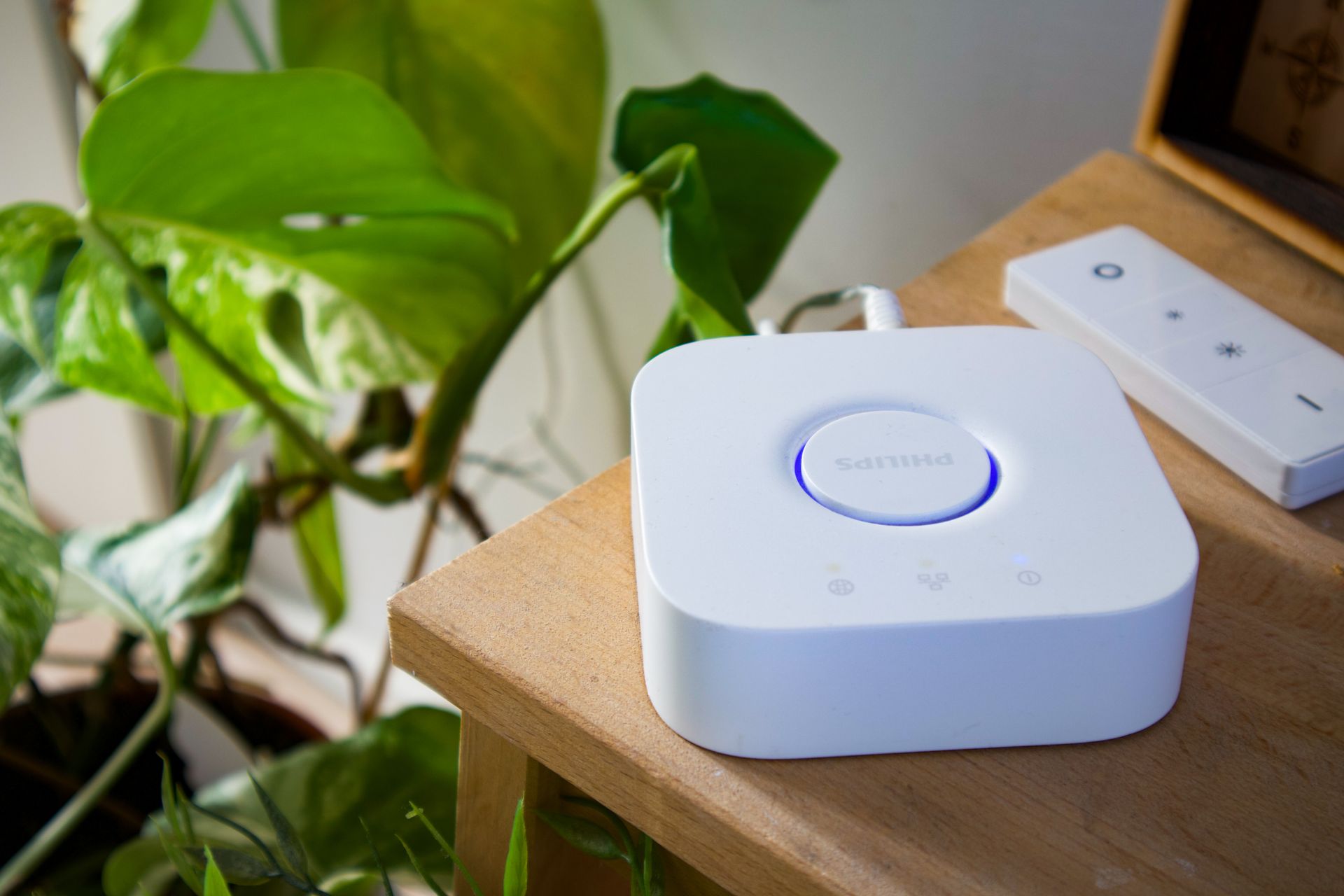 An image of a smart home hub on a countertop with a potted plant next to it.