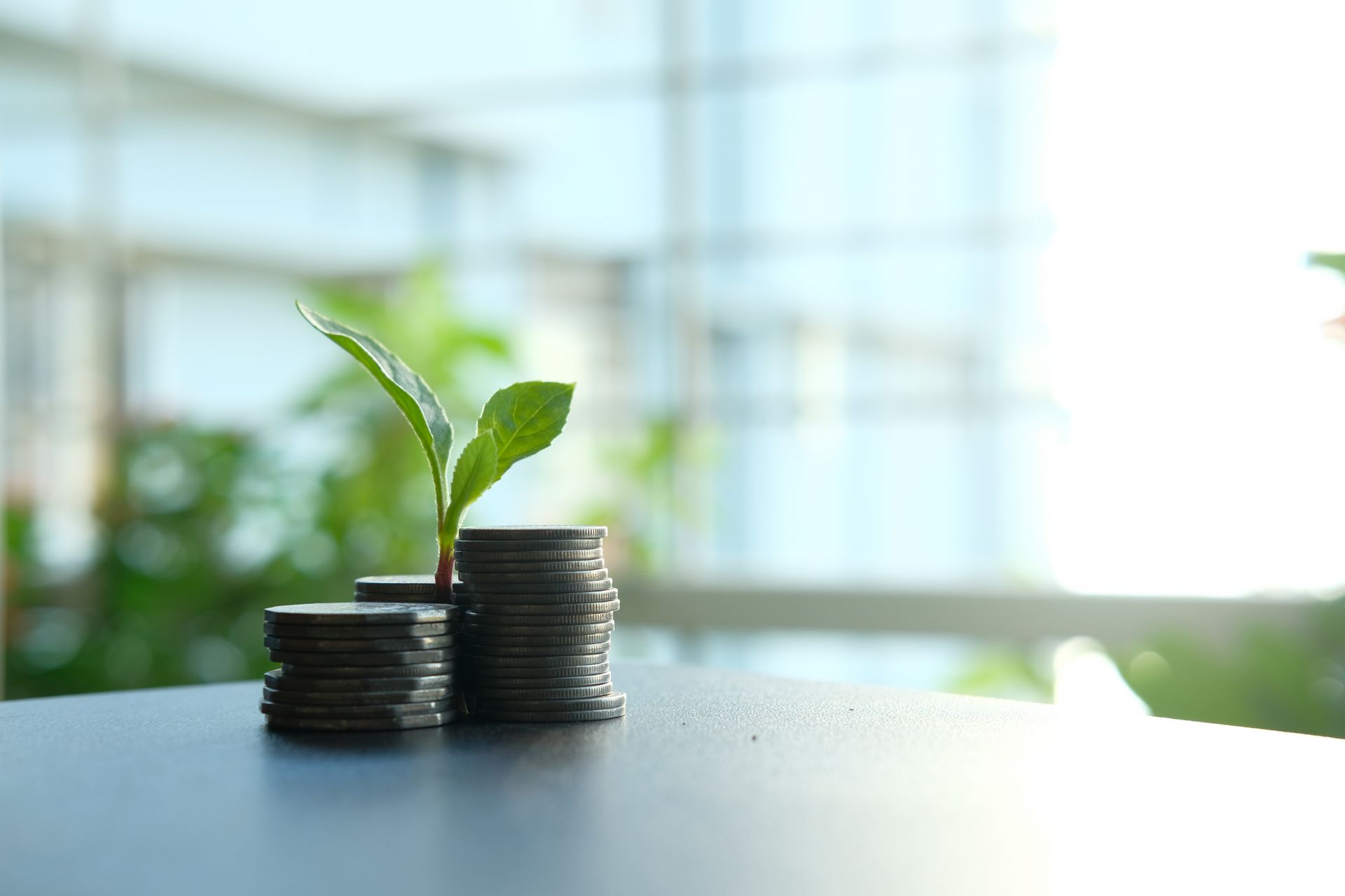 An image of a stack of coins with a growing plant on top.